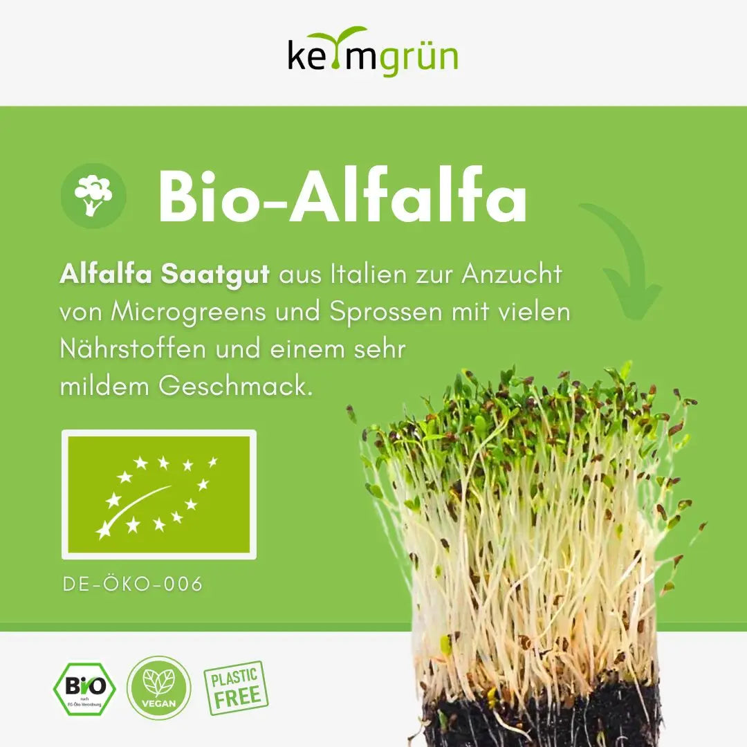 Alfalfa Samen Bio: Für nährstoffreiche Sprossen & Keime - 50g Portion