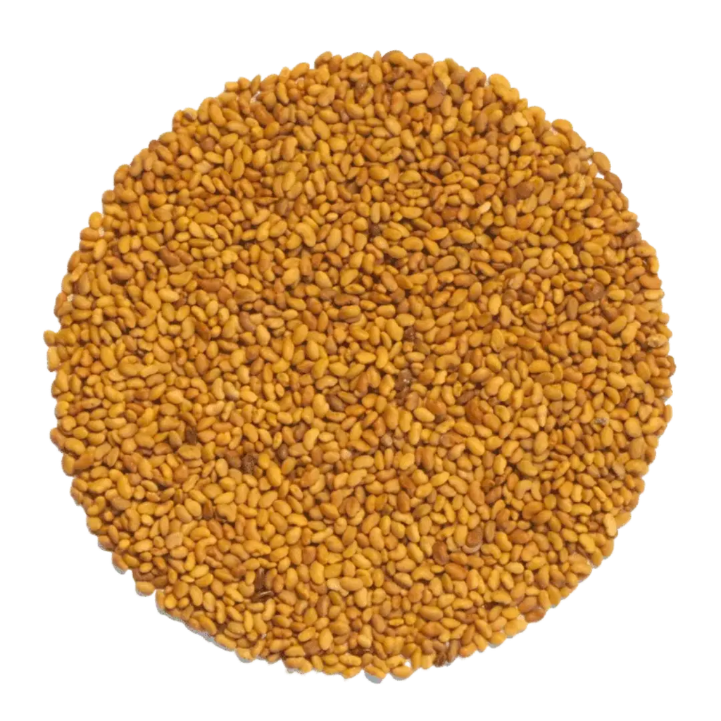 Alfalfa Samen Bio: Für nährstoffreiche Sprossen & Keime - 50g Portion