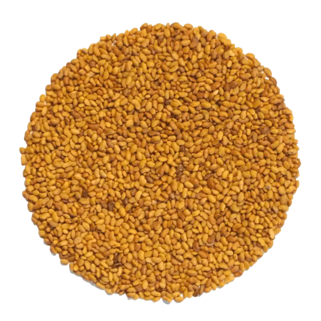 Alfalfa Samen Bio: Für nährstoffreiche Sprossen & Keime - 50g Portion