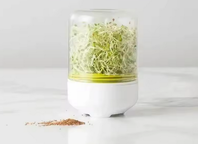 Sprossenglas – wiederverwendbares Sprossen-System aus Borosilikatglas (10,5 × 10,5 × 16 cm)